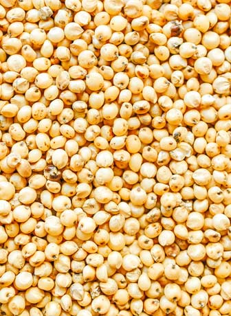 Soya Beans